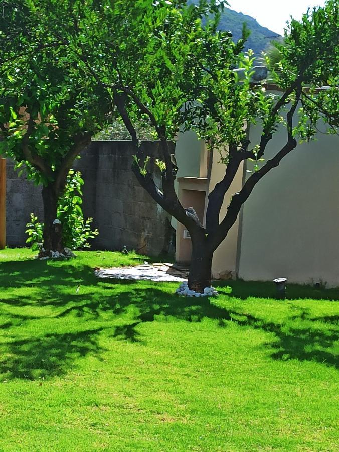 Albeldi' Hotel Domus De Maria Exterior photo